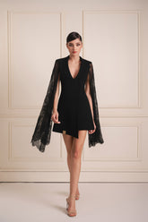 Lace Flair Sleeve Dress